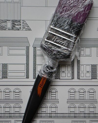 Paintbrush in clingfilm