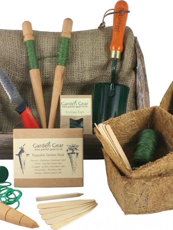 The Perfect Presents For Gardening Lovers Tidylife
