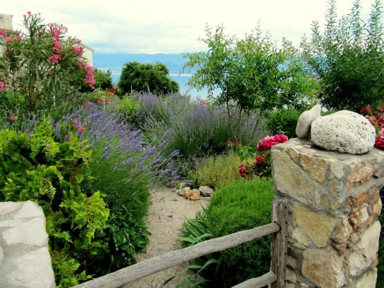 South of Italy in Your Garden – What Plants to Grow?