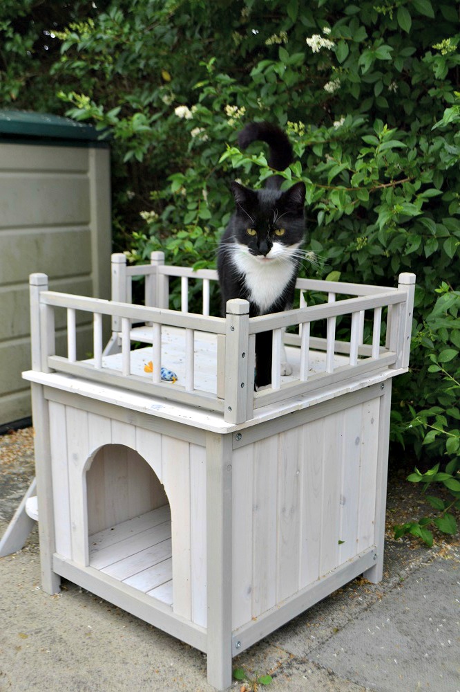 Outdoor cat shelter