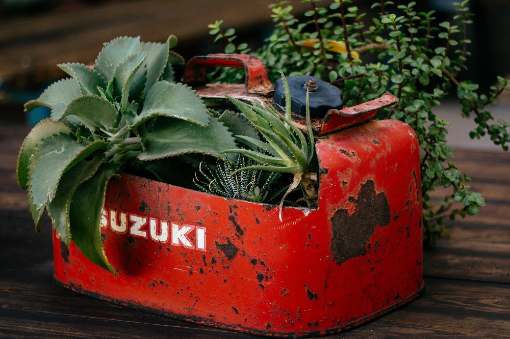 quirky planters