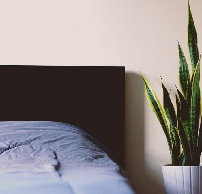 How to Make Your Bedroom a Sleep Sanctuary