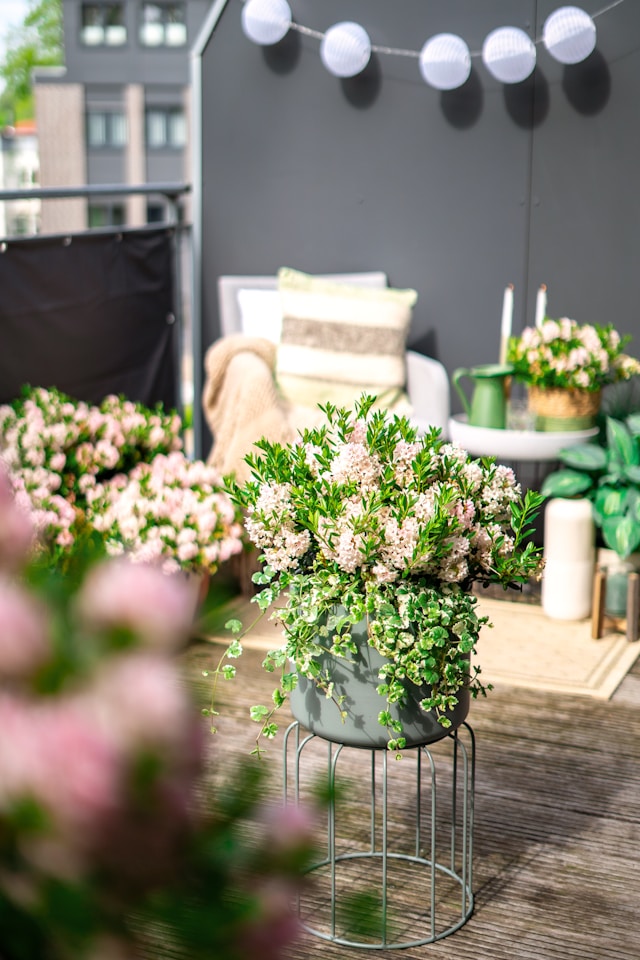 How Do Plug-In Balcony Solar Panels Work for Renters and Apartment Owners?