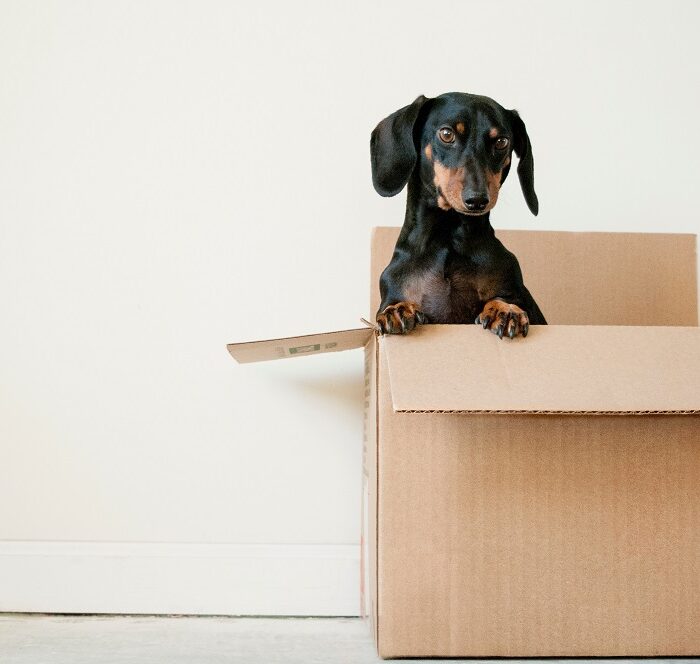 How To Find A Reliable Moving Company: 3 Methods To Use