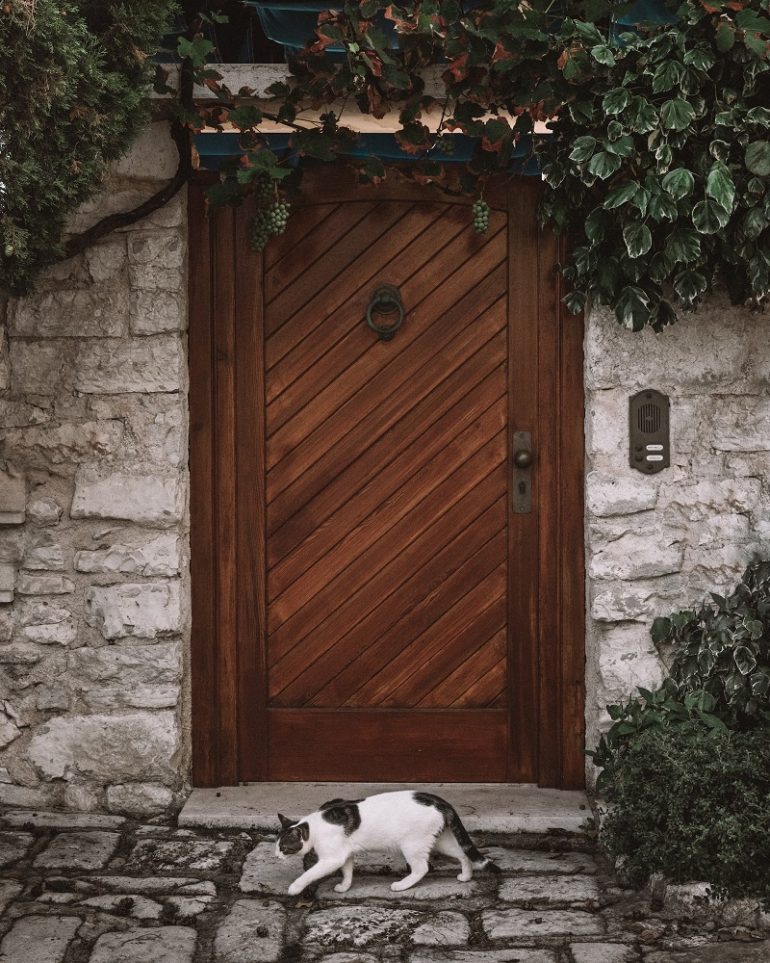 Why Are Timber Doors So Popular?