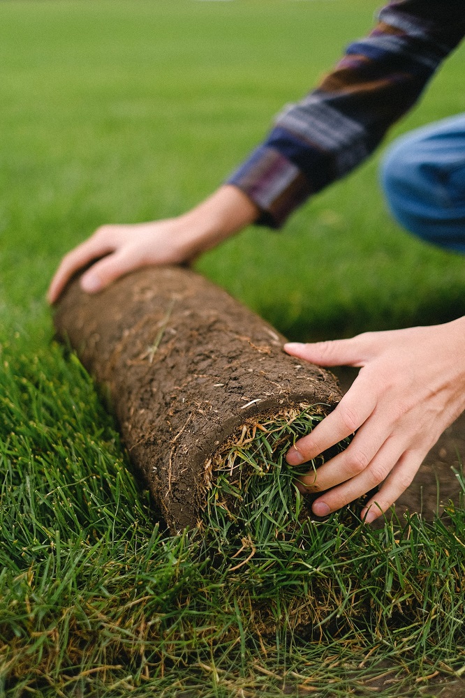 5 Priceless Tips About Turfing Your Garden