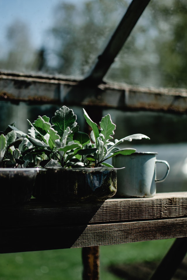 Navigating UK Garden Regulations: A Guide For Homeowners