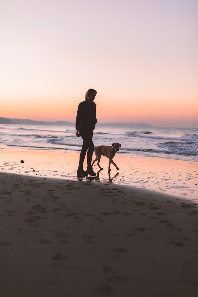 Choosing The Right Dog For You And Your Lifestyle: What You Should Consider Before Adopting