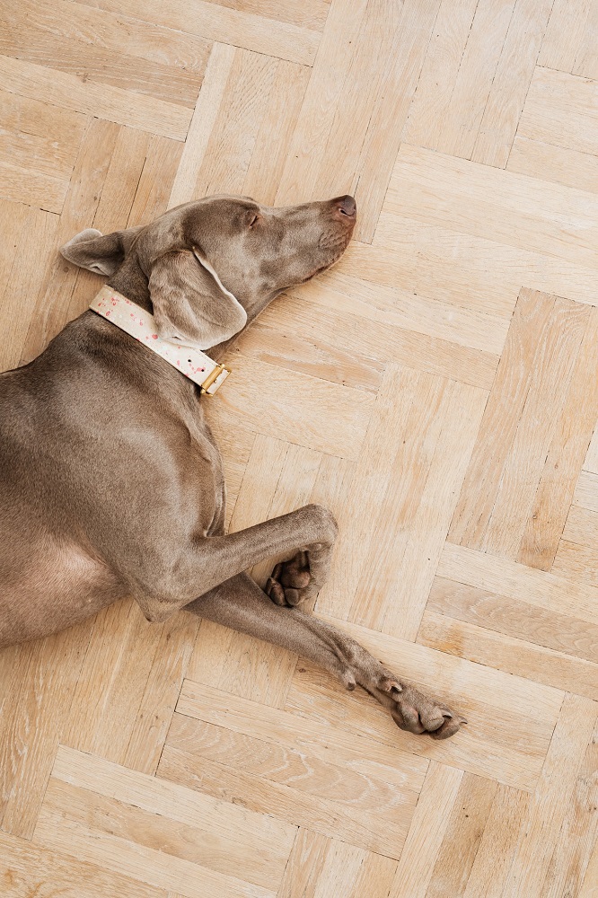 The Warmest Types Of Flooring For Winter