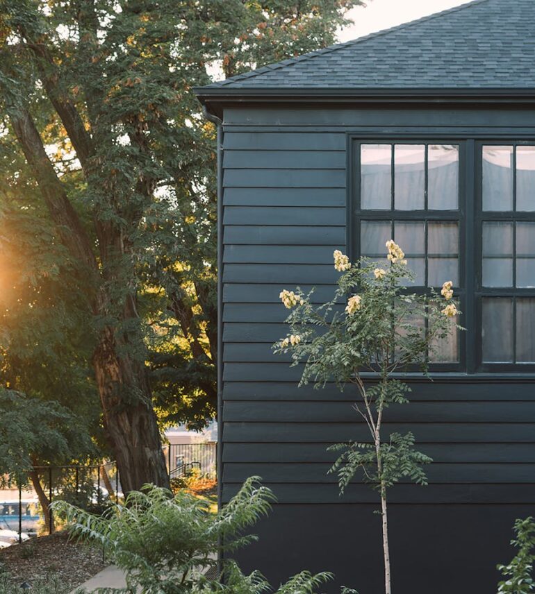 Don’t Write Your Damaged Garden Off Yet – Here’s Why!