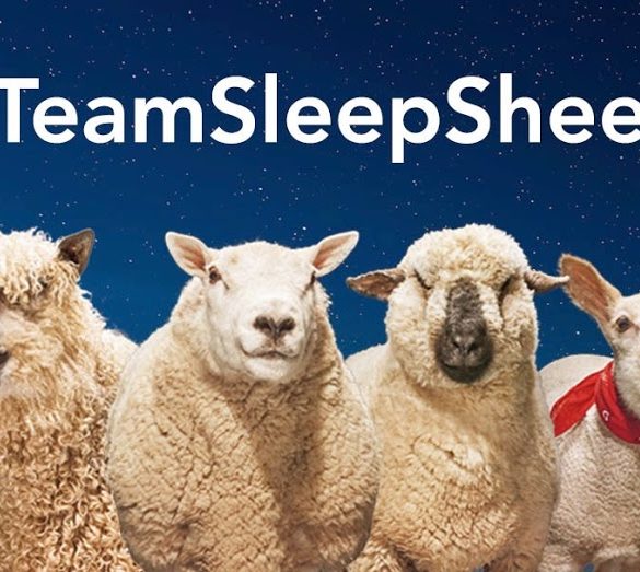Joining In With The Dunelm Sleep Campaign Teamsleepsheep Tidy