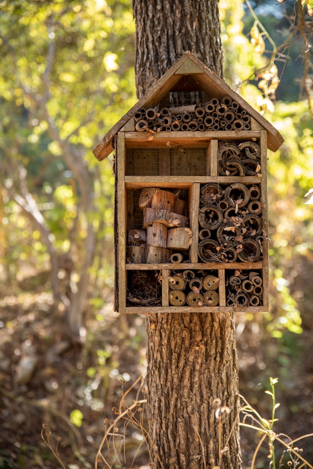 How to Create a Wildlife-Friendly Home without the Pest Woes