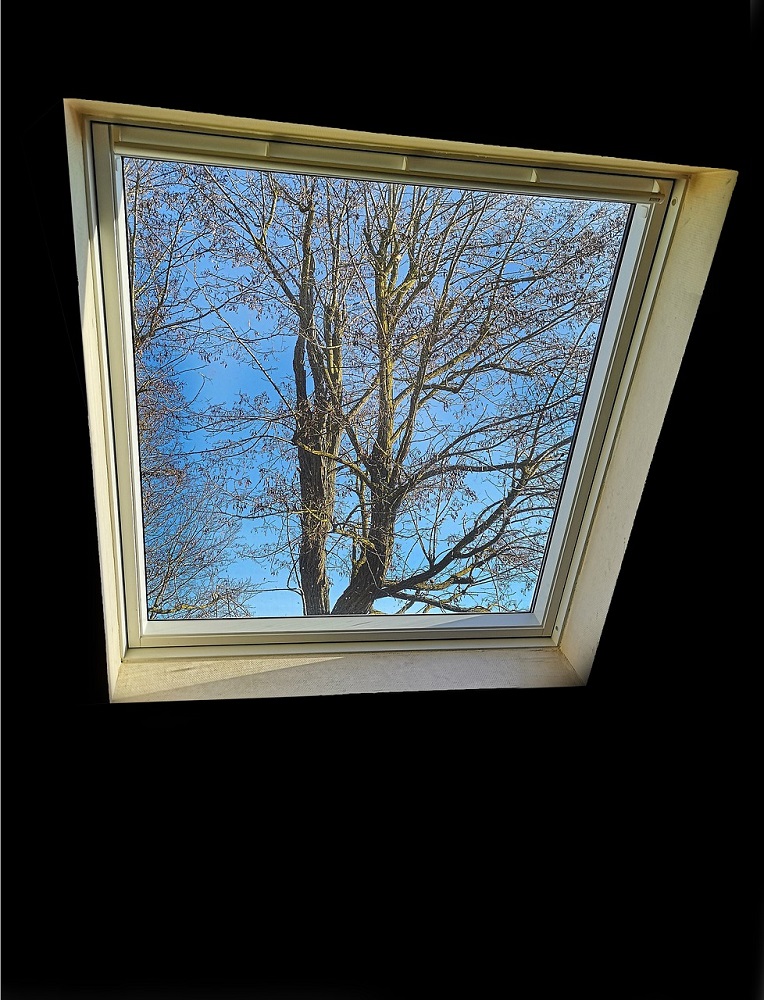 What Are The Best Roof Windows For My Home? Tidylife